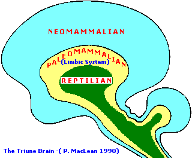 Neomammillian Representing Personal Injury Attorneys Kennewick, Pasco, Richland Flynn Merriman McKennon, P.S.